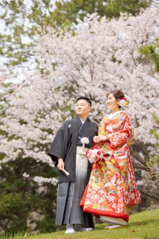 桜のロケーションフォト