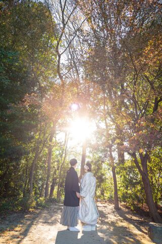 伝統的な日本庭園での撮影