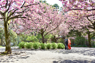 気持ちの良い季節はロケーション撮影で楽しく!