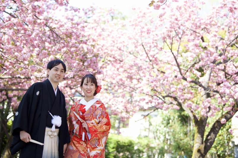 *春限定* 桜フォトツアープランのご紹介