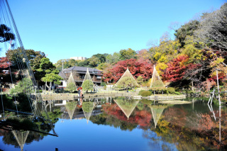紅葉ロケーション撮影!!限定日のみ特別プランの販売です!!