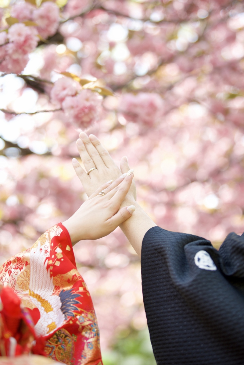 *春限定* 桜フォトツアープランのご紹介