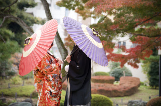 今年の紅葉ロケも素晴らしかったです♪