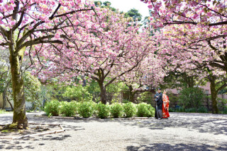 お日にち限定お値引きプラン！先着4組様　販売いたします♪