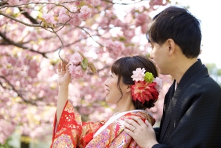 春の桜フォトツアー♪