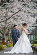 桜写真シリーズ①