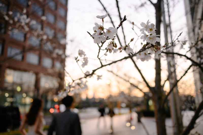 桜越しのお二人♪