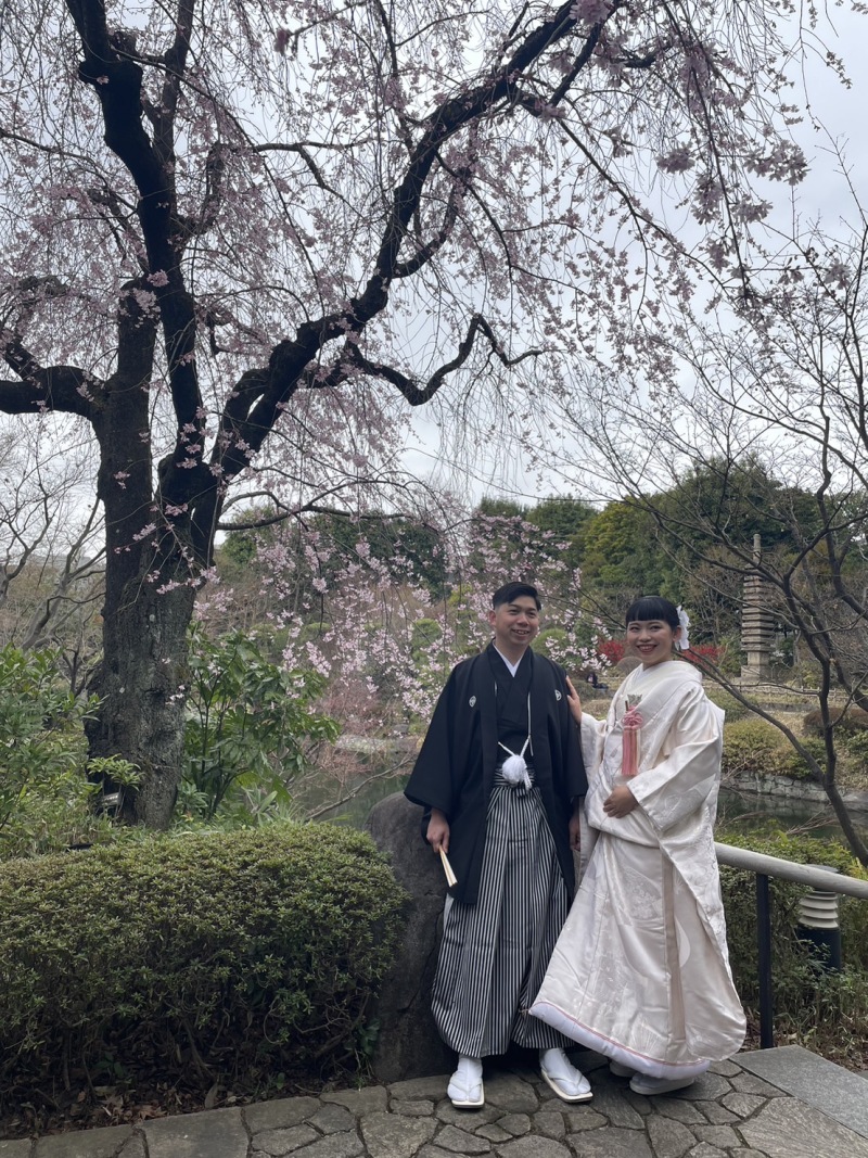 桜と和装