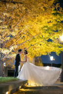 銀杏並木とホワイトドレスのコントラスト♪