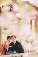 桜写真シリーズ②