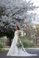 【桜フォト】本日がソメイヨシノ開花予想日!【まだ間に合うかも?】