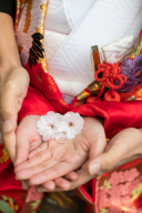 桜シーズン！こんな写真もいかが？