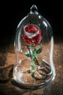 スタジオでの素敵なリング物撮り♪