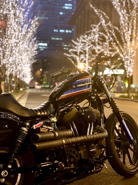 寒くても頑張る仲間たち。