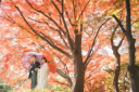 【フォトプラン紹介】日本庭園&東京駅丸の内【和装・洋装スタジオ+ロケ】