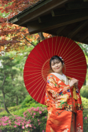 【日本庭園】初夏でも赤い、ノムラモミジ♪【和装ロケフォト】