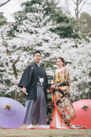 桜写真シリーズ③