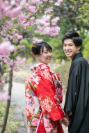 桜の開花時期ってどうやって決めるの？？