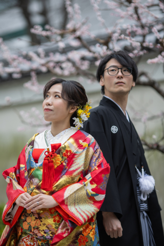 【桜フォト】八重桜なら、今からでも間に合うかも？【日本庭園ロケ】