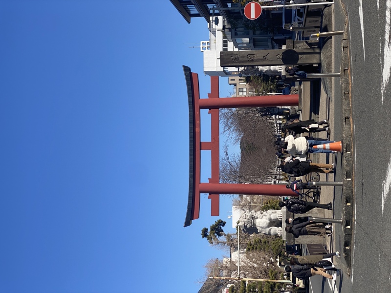 鎌倉の名所、鶴岡八幡宮♪