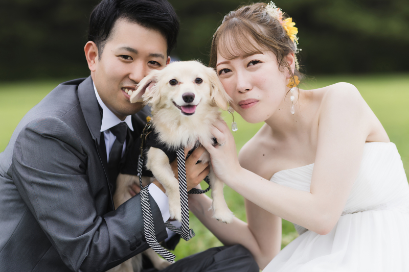 【稲毛海浜公園】スタジオブルーはペットとの撮影が無料♪