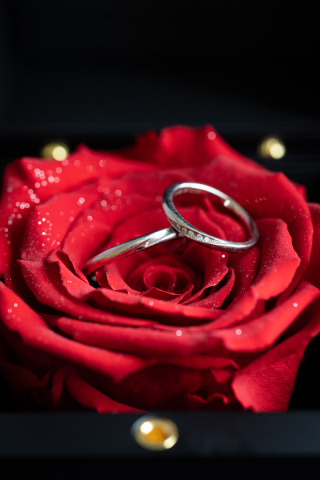 【物撮り無料】お持ち込みのジュエリーボックスと【リングフォト】