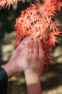 【パーツフォト】ロマンティックな手のショット♡