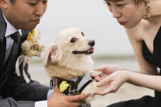 【稲毛海浜公園】スタジオブルーはペットとの撮影が無料♪