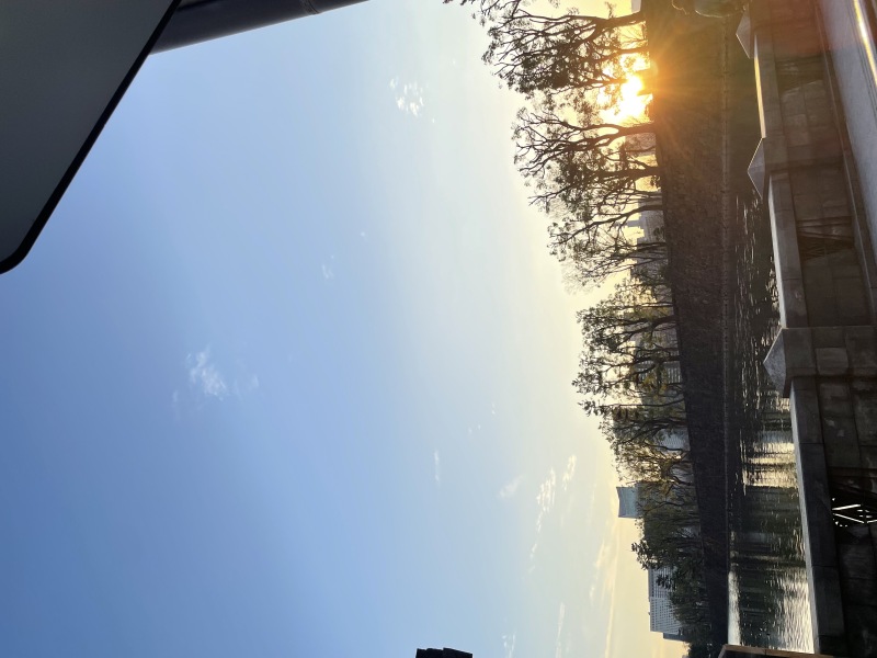 和田倉門からのサンセット☀