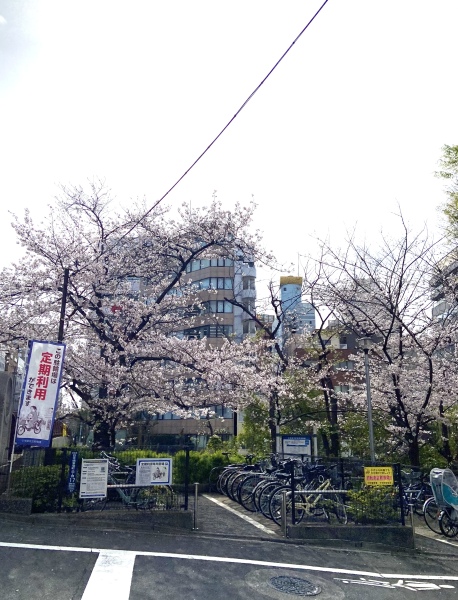 晴れましたね☀︎