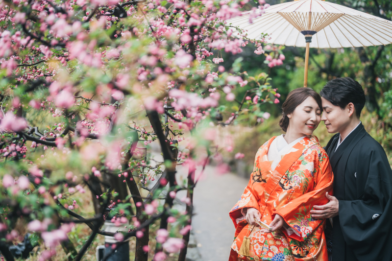 八重桜も鮮やか！