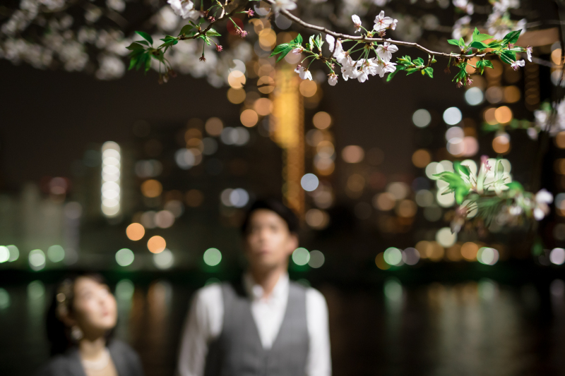 夜桜も素敵です。