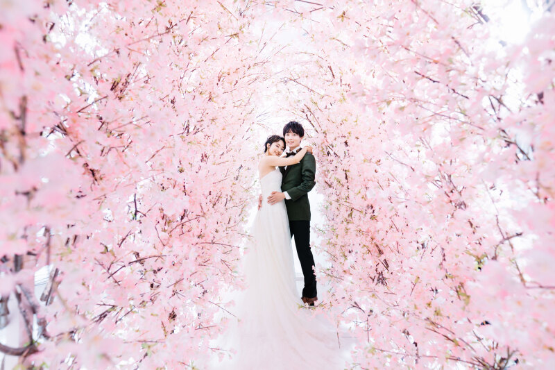 【期間限定キャンペーン】