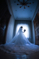 ドレス ラインナップ