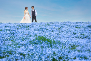 悩んでいる方は今がチャンス!《ネモフィラロケーション》