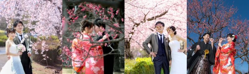 【Spring Location】春の陽気に誘われて楽しむフォトプラン✿