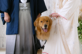 大切なペットと一緒に可愛いフォトウェディング