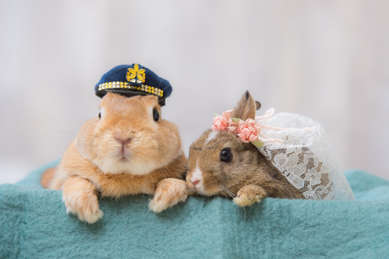 小さい家族との撮影♡