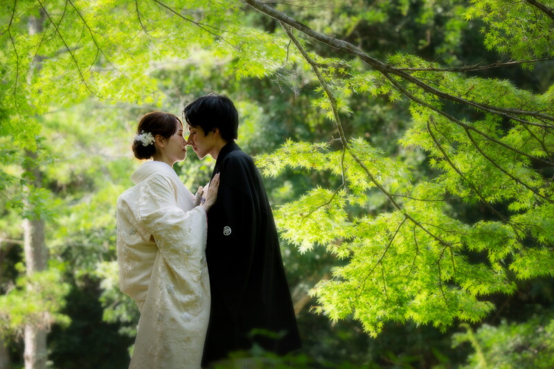 プロカメラマンだから撮影できる写真の魅力