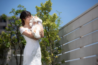 Q&A「ネコを飼っているんですが、一緒に撮影することは可能でしょうか」