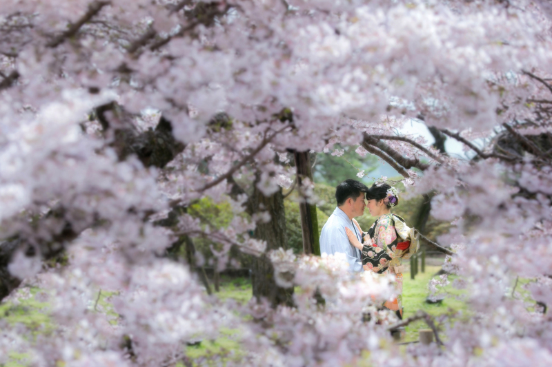 春と言えば、桜。