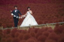 《秋限定》国営ひたち海浜公園ロケ キャンペーン