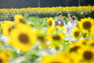 Q&A「ロケーションはどういう場所で撮影できますか」