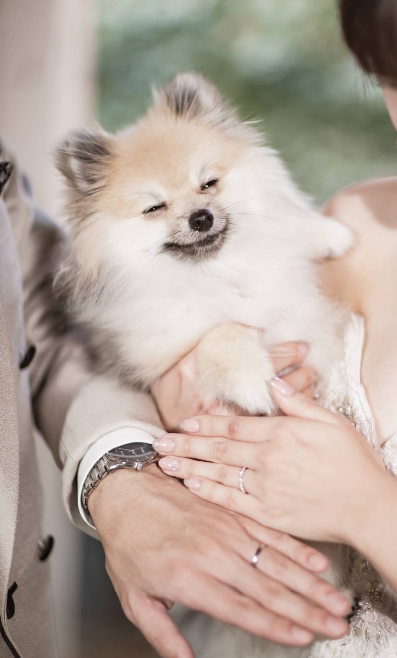 ワンちゃんと結婚指輪シーンを☺︎