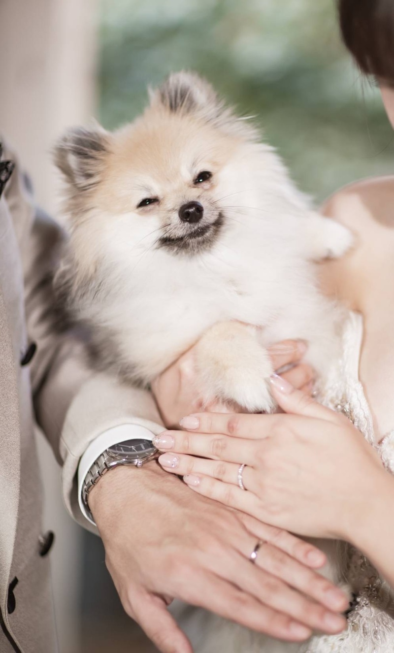 ワンちゃんと結婚指輪シーンを☺︎