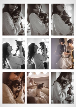 ★ペットと一緒の撮影について