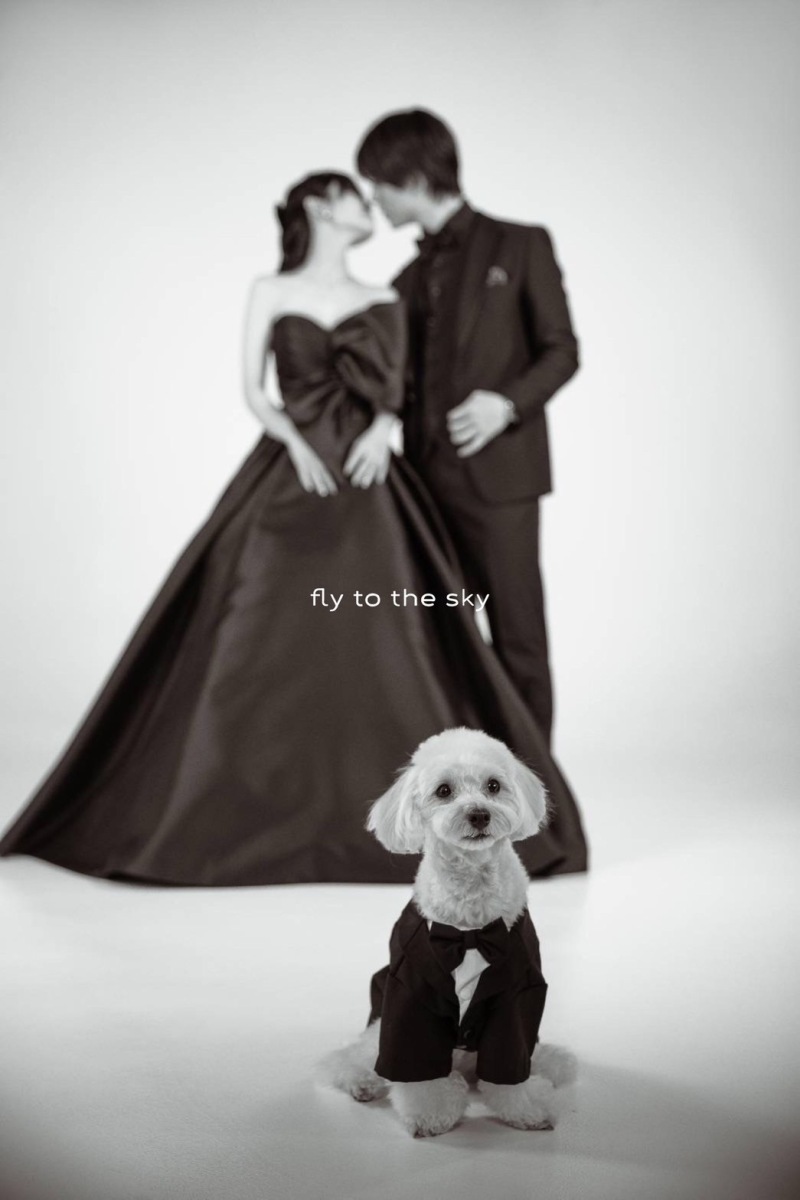 オプションのご紹介