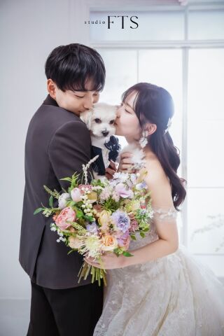 ペット撮影のご案内