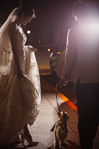 ペット撮影のご案内♪