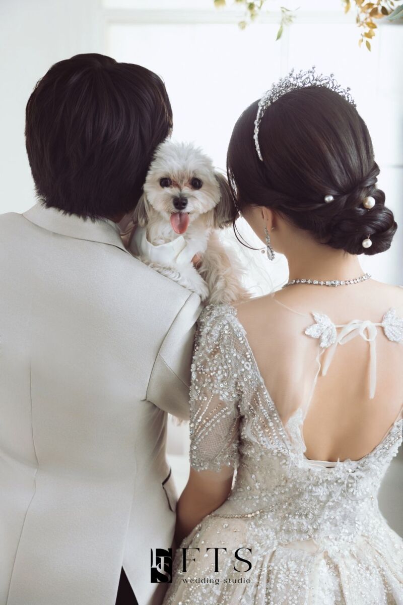 ペット撮影のご案内